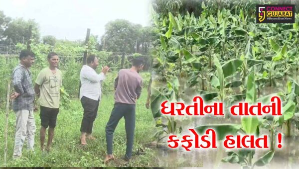 અંકલેશ્વર: આકાશમાંથી વરસેલ આફતના પગલે ખેતરો બેટમાં ફેરવાયા, ખેતીના ઉભા પાકને નુકશાન