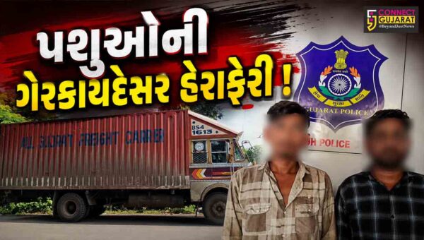 અંકલેશ્વર: એક્સપ્રેસ હાઇવે પરથી પશુઓની ગેરકાયદેસર હેરાફેરી ઝડપાઇ, રૂ.11 લાખના મુદ્દામાલ સાથે 2 આરોપીની ધરપકડ