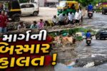 અંકલેશ્વર: ગડખોલ પાટીયાથી અંદાડાને જોડતો માર્ગ અતિબિસ્માર, રિક્ષા ચાલકોનો અનોખો વિરોધ