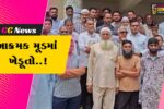ભરૂચ : આમોદમાં પાવર ગ્રીડના વળતર મુદ્દે ખેડૂતો આક્રમક બન્યા, સરકારના પરિપત્ર સામે મામલતદારને રજૂઆત!