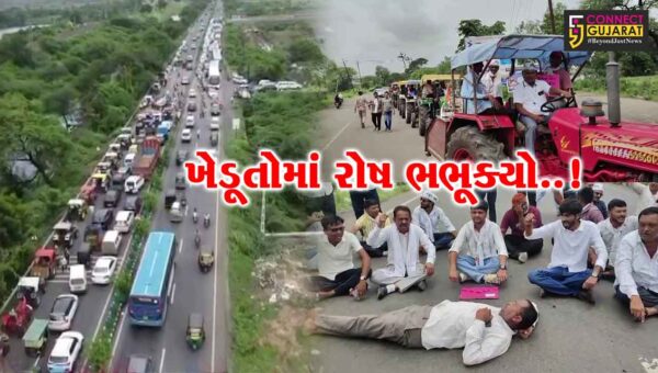 ભરૂચ : સરકાર અને પાવર ગ્રીડ કોર્પોરેશન સામે ખેડૂતોએ બાંયો ચડાવી, વિશાળ રેલી નીકળતા ખેડૂતો અને પોલીસ વચ્ચે ઘર્ષણ સર્જાયું