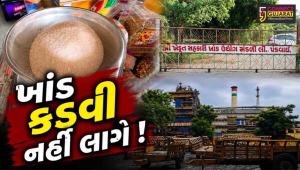 ભરૂચ: ખાંડના વધતા ભાવ અંગે સુગર ફેડરેશનનું મોટું નિવેદન, બજારમાં કૃત્રિમ અછત,પર્યાપ્ત જથ્થો ઉપ્લબદ્ધ