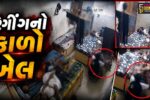 ભાવનગર : ખાનગી બોયઝ હોસ્ટેલમાં ધો.9ના વિદ્યાર્થી પર અમાનુષી અત્યાચાર,ત્રાસથી સગીર રાત્રે ડાયપર પહેરવા મજબૂર બન્યો