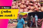 ભરૂચ: ગરીબોની કસ્તુરી સમાન ડુંગળીના ભાવમાં 30%નો વધારો, પુરવઠો ખોરવાતા અસર