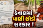 ભરૂચ: જંબુસર-આમોદ પંથકમાં  અપૂરતા વરસાદથી ખેડૂતો ચિંતાતુર, MLA ડી.કે.સ્વામીએ CMને પત્ર લખી પાણી છોડવા કરી રજુઆત