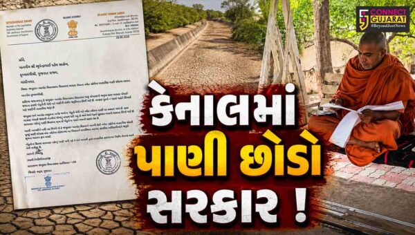 ભરૂચ: જંબુસર-આમોદ પંથકમાં  અપૂરતા વરસાદથી ખેડૂતો ચિંતાતુર, MLA ડી.કે.સ્વામીએ CMને પત્ર લખી પાણી છોડવા કરી રજુઆત