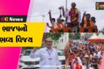 વડોદરા : માંજલપુર બેઠક પર ભાજપનો ભવ્ય વિજય,સતીષ પટેલે 30,499 મતોની લીડથી જીત હાંસલ કરી