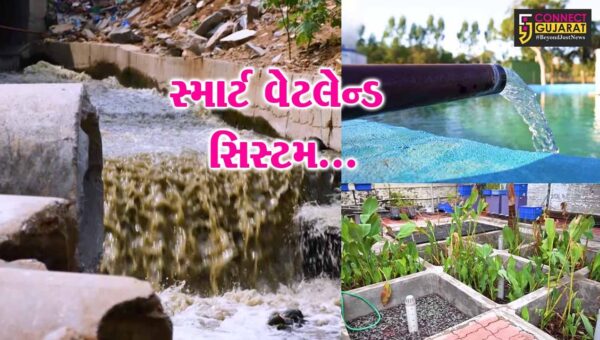 ભાવનગર : CSMCRI’ના વૈજ્ઞાનિકોએ આધુનિક જળસંરક્ષણ કરતી સ્માર્ટ વેટલેન્ડ સિસ્ટમ વિકસાવી