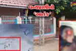 પાટણ : વૌવા ગામમાં વન્યપ્રાણીના હુમલાથી ગ્રામજનોમાં ફફડાટ, 15થી વધુ લોકોને બચકાં ભરી ઇજાગ્રસ્ત કર્યા.