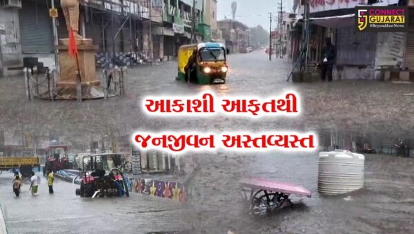 સુરેન્દ્રનગર : ચુડા તાલુકાનું ગોખરવાળા ગામ સંપર્ક વિહોણું બન્યું,રસ્તાઓ પર પાણી ફરી વળતા વાહનવ્યવહાર ઠપ