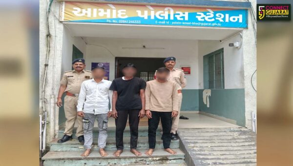 ભરૂચ: આમોદ પોલીસે યુવતીને હેરાન કરી શારીરિક સંબંધ માટે દબાણ કરવાના મામલામાં 3 આરોપીઓની કરી ધરપકડ