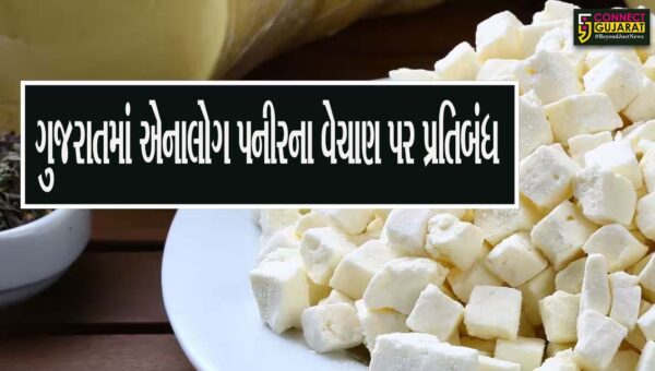 ગુજરાતમાં એનાલોગ પનીરના વેચાણ પર પ્રતિબંધ, રાજ્યના મહાનગરોમાં આરોગ્ય વિભાગનું ચેકિંગ