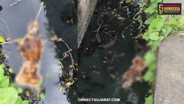 ભરૂચ: રેલવે ગોદી રોડ પર ગટરમાંથી મળ્યું માનવ કંકાલ, પોલીસ તપાસ શરૂ