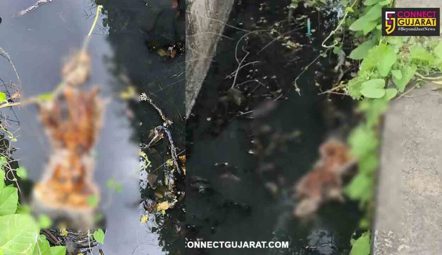 ભરૂચ: રેલવે ગોદી રોડ પર ગટરમાંથી મળ્યું માનવ કંકાલ, પોલીસ તપાસ શરૂ