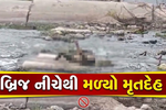 અંકલેશ્વર: અમરતપુરા ગામ નજીક બ્રિજ પાસેથી અજાણ્યા પુરુષનો મૃતદેહ મળી આવ્યો, હત્યાની આશંકા વચ્ચે પોલીસ તપાસનો ધમધમાટ