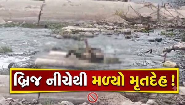અંકલેશ્વર: અમરતપુરા ગામ નજીક બ્રિજ પાસેથી અજાણ્યા પુરુષનો મૃતદેહ મળી આવ્યો, હત્યાની આશંકા વચ્ચે પોલીસ તપાસનો ધમધમાટ