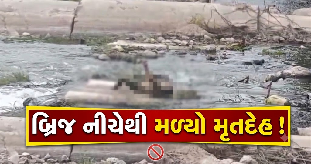 અંકલેશ્વર: અમરતપુરા ગામ નજીક બ્રિજ પાસેથી અજાણ્યા પુરુષનો મૃતદેહ મળી આવ્યો, હત્યાની આશંકા વચ્ચે પોલીસ તપાસનો ધમધમાટ