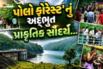 સાબરકાંઠા : અદ્ભુત પ્રાકૃતિક સૌંદર્ય-સદીઓ જૂના ઐતિહાસિક સ્થાપત્યો સાથે પોલો ફોરેસ્ટ જવાબદાર ઇકો-ટુરિઝમનું ઉત્તમ ઉદાહરણ બન્યું
