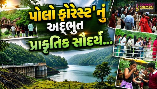 સાબરકાંઠા : અદ્ભુત પ્રાકૃતિક સૌંદર્ય-સદીઓ જૂના ઐતિહાસિક સ્થાપત્યો સાથે પોલો ફોરેસ્ટ જવાબદાર ઇકો-ટુરિઝમનું ઉત્તમ ઉદાહરણ બન્યું