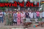 ભરૂચ : નવેઠામાં પ્રાથમિક શાળાની બાજુમાં જ પશુઓ રાખવામાં આવતા વિદ્યાર્થી-ગ્રામજનોને ભારે હાલાકીનો સામનો..!