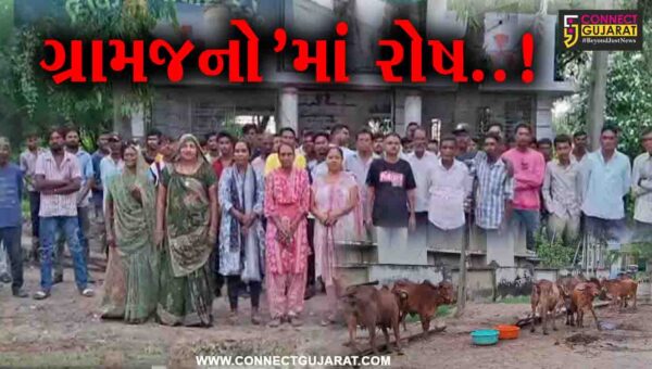 ભરૂચ : નવેઠામાં પ્રાથમિક શાળાની બાજુમાં જ પશુઓ રાખવામાં આવતા વિદ્યાર્થી-ગ્રામજનોને ભારે હાલાકીનો સામનો..!