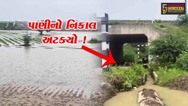 ભરૂચ: એક્સપ્રેસ હાઇવે સહિતના પ્રોજેકટના કારણે ખેતરોમાં પાણીનો નિકાલ અટક્યો હોવાના આક્ષેપ, ખેડૂતોએ વળતરની કરી માંગ