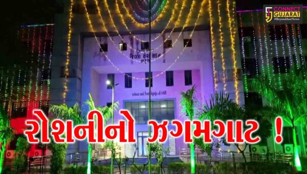 ભરૂચ: સ્વાતંત્ર્ય પર્વ પર શહેરે નવી દુલહનનો સાજ સજ્યો, સરકારી ઇમારતો- સર્કલ લાઇટિંગથી ઝળહળ્યા