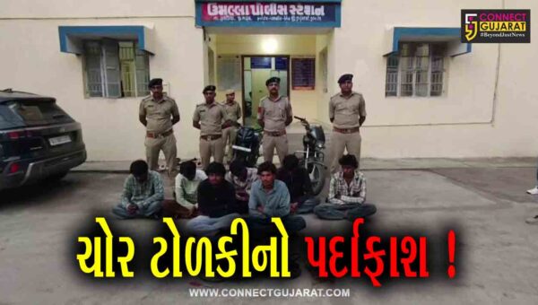 ભરૂચ: ઉમલ્લા પોલીસે કેબલ ચોરીની ટોળકીનો કર્યો પર્દાફાશ, 7 આરોપી ઝડપાયા