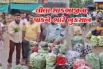 સાબરકાંઠા : અવિરત વરસાદથી લીલા શાકભાજીના પાકને ભારે નુકસાન, ખેતરો પાણીમાં ગરકાવ