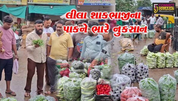 સાબરકાંઠા : અવિરત વરસાદથી લીલા શાકભાજીના પાકને ભારે નુકસાન, ખેતરો પાણીમાં ગરકાવ