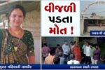ભરૂચ: આમોદના દેણવા ગામે ખેતરમાં ખાતર નાખતી મહિલા પર વિજળી ત્રાટકતા મોત નિપજ્યું, પંથકમાં શોકનું મોજું