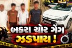 અંકલેશ્વર: એ ડિવિઝન પોલીસે બકરા ચોરી કરતી ગેંગના 4 સાગરીતોની કરી ધરપકડ, રૂ.4 લાખનો મુદ્દામાલ જપ્ત