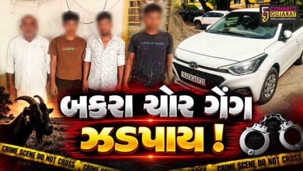 અંકલેશ્વર: એ ડિવિઝન પોલીસે બકરા ચોરી કરતી ગેંગના 4 સાગરીતોની કરી ધરપકડ, રૂ.4 લાખનો મુદ્દામાલ જપ્ત