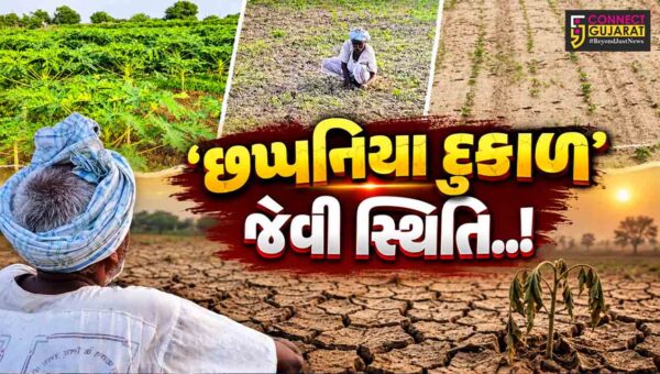 બનાસકાંઠા : વરસાદ પાછો ખેંચાતા છપ્પનિયા દુકાળ જેવી પરિસ્થિતિનું નિર્માણ, સરકાર દ્વારા સર્વે કરાવી વળતર ચૂકવવા ખેડૂતોની માંગ