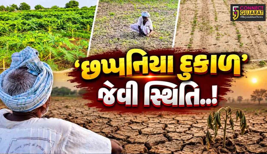 બનાસકાંઠા : વરસાદ પાછો ખેંચાતા છપ્પનિયા દુકાળ જેવી પરિસ્થિતિનું નિર્માણ, સરકાર દ્વારા સર્વે કરાવી વળતર ચૂકવવા ખેડૂતોની માંગ