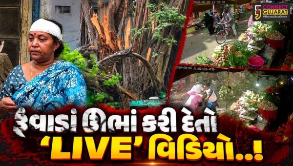 સુરત : નાનપુરા શાકભાજી માર્કેટ નજીક વિશાળકાય વૃક્ષ ધરાશાયી થતાં 5 લોકોને ઇજા, ઘટના CCTV’માં કેદ…