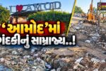 ભરૂચ : આમોદના જાહેર માર્ગ પર ગંદકીનું સામ્રાજ્ય, ‘I LOVEAMOD’ના બોર્ડ નજીક સ્વચ્છતા અભિયાનના ધજાગરા..!