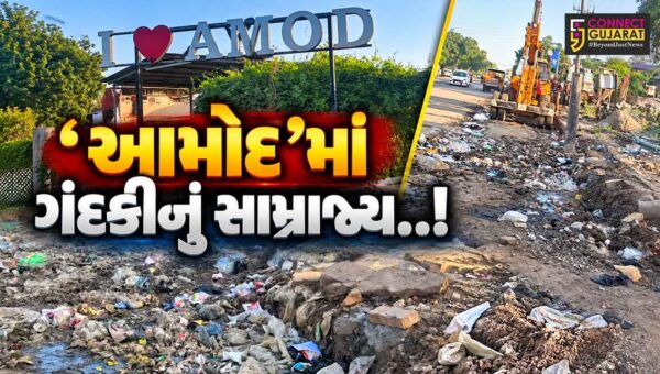 ભરૂચ : આમોદના જાહેર માર્ગ પર ગંદકીનું સામ્રાજ્ય, ‘I LOVEAMOD’ના બોર્ડ નજીક સ્વચ્છતા અભિયાનના ધજાગરા..!