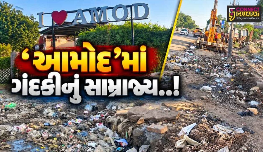 ભરૂચ : આમોદના જાહેર માર્ગ પર ગંદકીનું સામ્રાજ્ય, ‘I LOVEAMOD’ના બોર્ડ નજીક સ્વચ્છતા અભિયાનના ધજાગરા..!