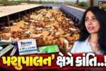 ‘બિગ નેનો વેન્ચર્સ’ સ્ટાર્ટઅપ : આણંદની મહિલા ઉદ્યોગસાહસિકે પશુઓ માટે દર્દરહિત અનોખી પ્રેગ્નન્સી ટેસ્ટ કિટ વિકસાવી…