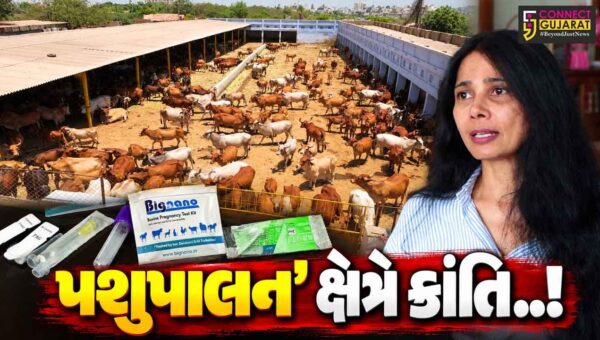 ‘બિગ નેનો વેન્ચર્સ’ સ્ટાર્ટઅપ : આણંદની મહિલા ઉદ્યોગસાહસિકે પશુઓ માટે દર્દરહિત અનોખી પ્રેગ્નન્સી ટેસ્ટ કિટ વિકસાવી…