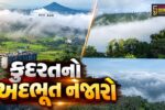 ડાંગ : સાપુતારામાં કુદરતનો અદભૂત નજારો,ગાઢ ધુમ્મસની ચાદર પથરાતા ડુંગરો બરફ જેવા આહલાદક બન્યા