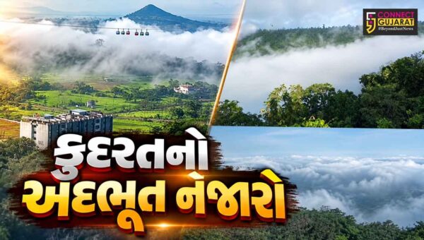 ડાંગ : સાપુતારામાં કુદરતનો અદભૂત નજારો,ગાઢ ધુમ્મસની ચાદર પથરાતા ડુંગરો બરફ જેવા આહલાદક બન્યા