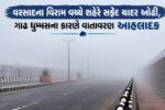 ભરૂચ: વરસાદના વિરામ વચ્ચે શહેરે સફેદ ચાદર ઓઢી, ગાઢ ધુમ્મસના કારણે વાતાવરણ આહલાદક