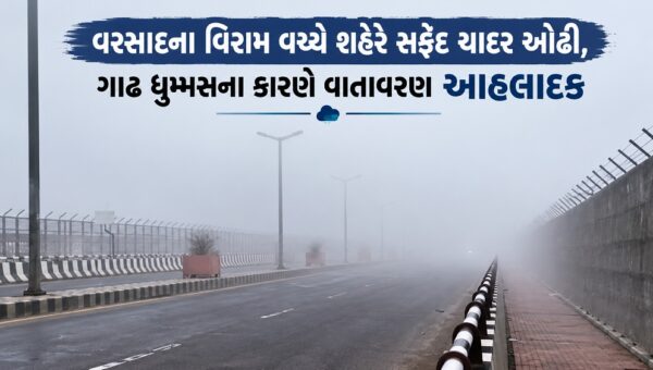 ભરૂચ: વરસાદના વિરામ વચ્ચે શહેરે સફેદ ચાદર ઓઢી, ગાઢ ધુમ્મસના કારણે વાતાવરણ આહલાદક