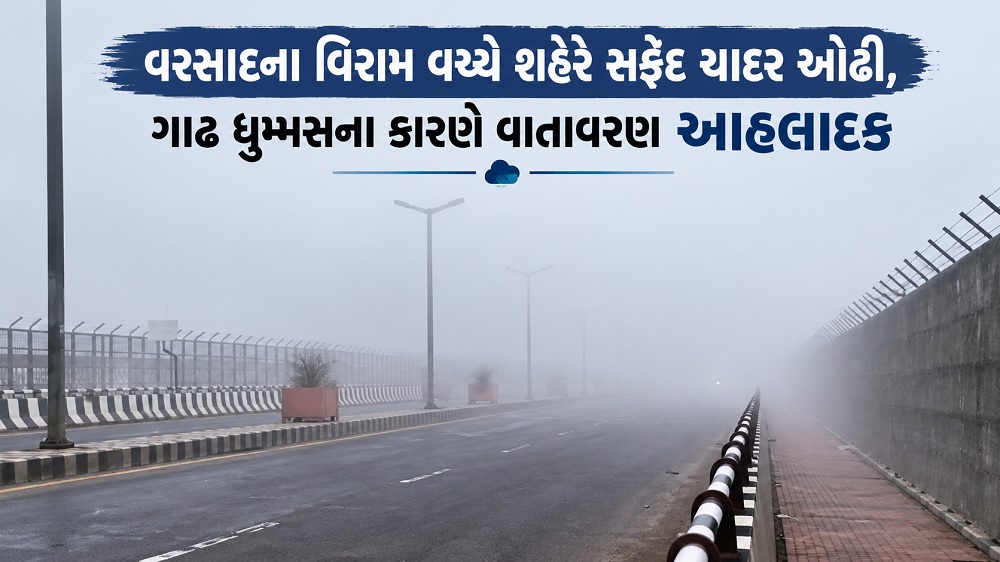 ભરૂચ: વરસાદના વિરામ વચ્ચે શહેરે સફેદ ચાદર ઓઢી, ગાઢ ધુમ્મસના કારણે વાતાવરણ આહલાદક