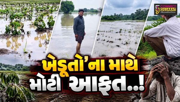 ભરૂચ : મનુબર નજીક બુલેટ ટ્રેન-ગુડ્સ ટ્રેન પ્રોજેક્ટસહિત એક્સપ્રેસ-વેની કામગીરીના પગલે ખેતરોમાં વરસાદી પાણી ભરાયા, ધરતીપુત્રોને આર્થિક ફટકો..!
