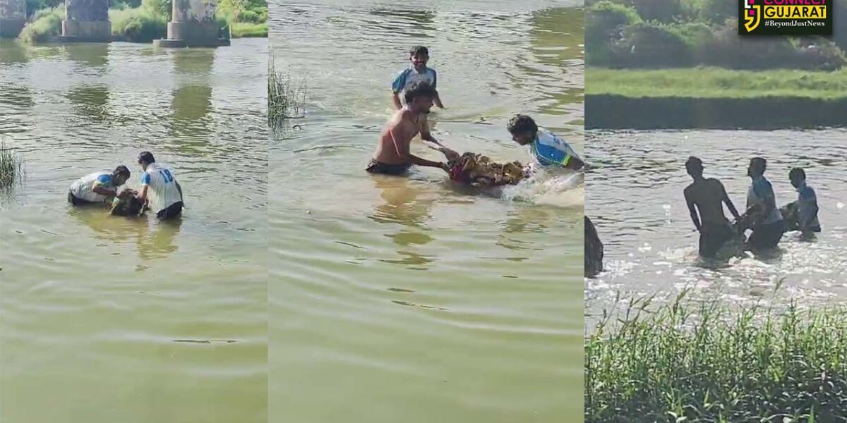ભરૂચ: કિમ નદીમાં બહાર આવેલી શ્રીજીની પ્રતિમાઓનું સાહોલના યુવાનોએ પુનઃવિસર્જન કર્યું