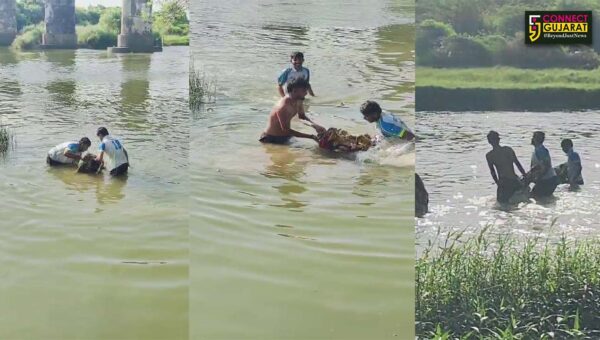 ભરૂચ: કિમ નદીમાં બહાર આવેલી શ્રીજીની પ્રતિમાઓનું સાહોલના યુવાનોએ પુનઃવિસર્જન કર્યું