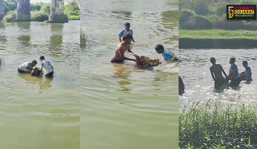ભરૂચ: કિમ નદીમાં બહાર આવેલી શ્રીજીની પ્રતિમાઓનું સાહોલના યુવાનોએ પુનઃવિસર્જન કર્યું